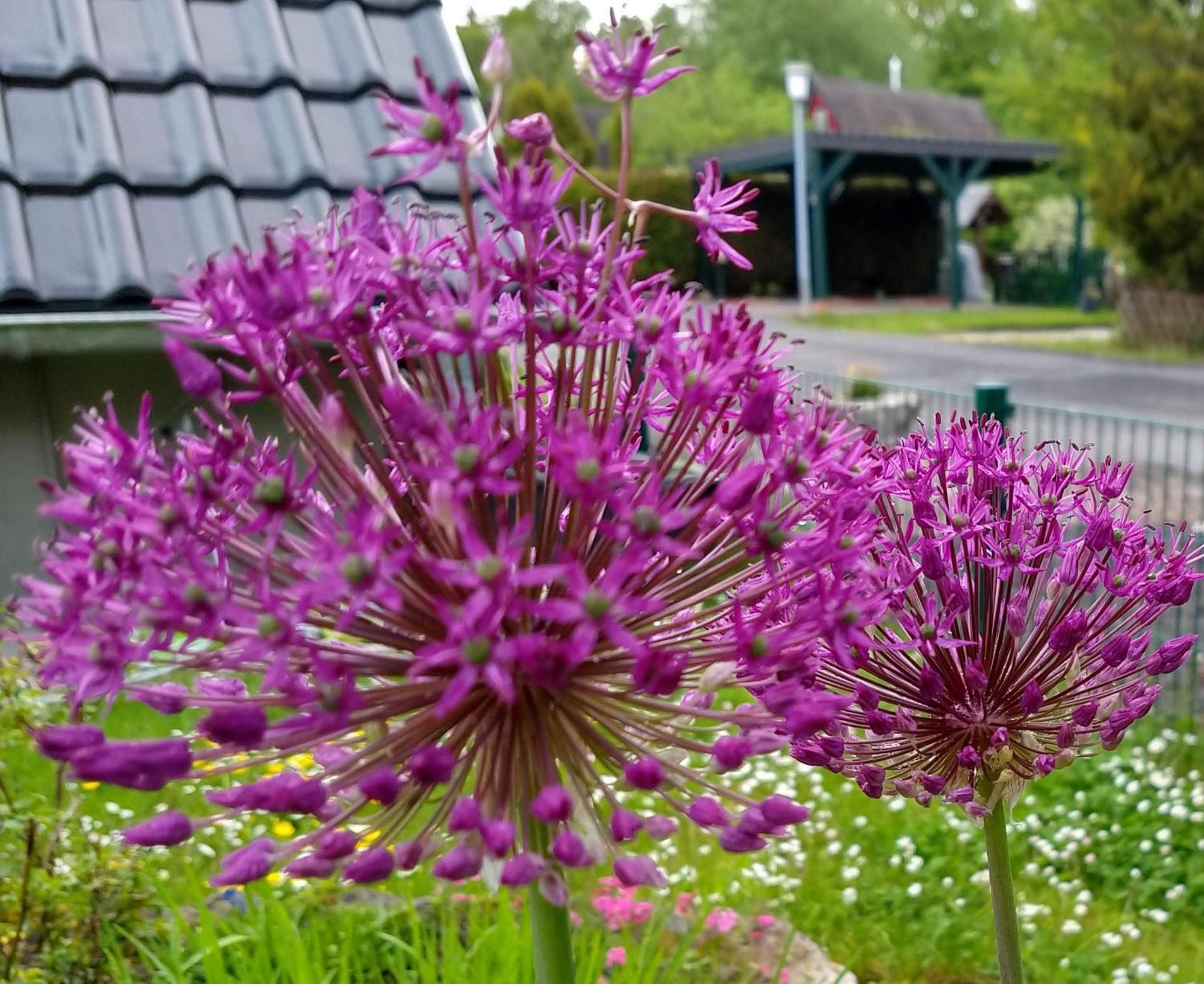 Haus 187 Freilingen *
