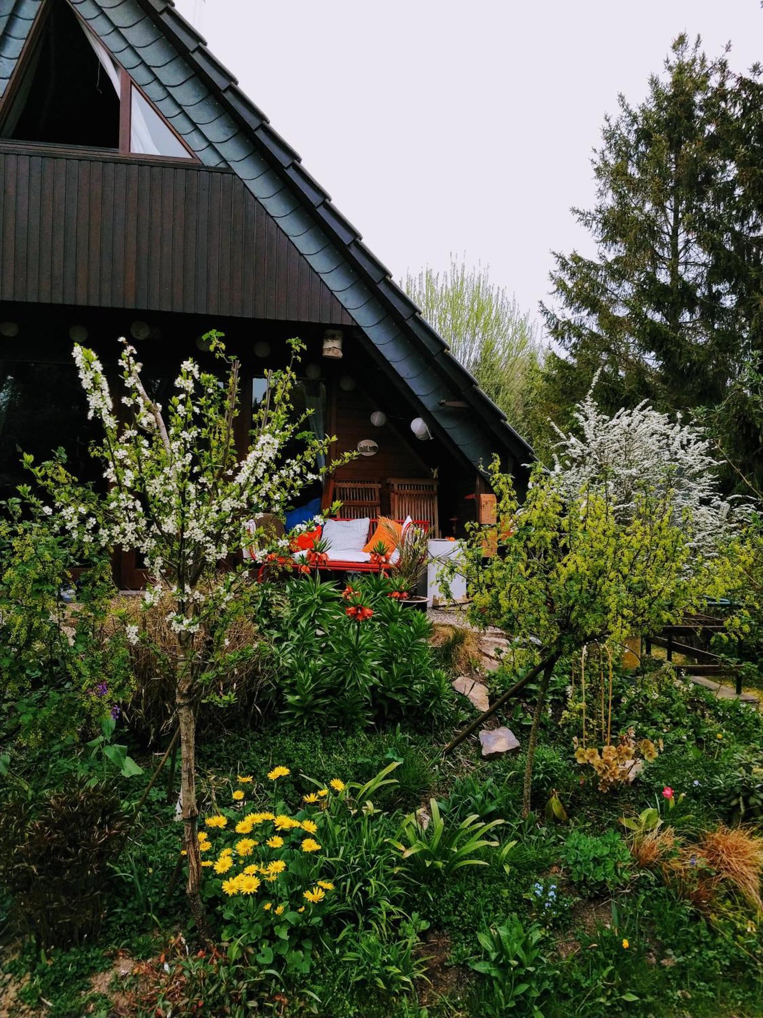 Haus 187 Freilingen Holiday home